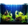4c61e68f374828de325c61ddd70f59b8.webp Aquarium Black Sand 500g