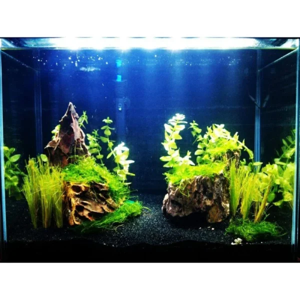 4c61e68f374828de325c61ddd70f59b8.webp Aquarium Black Sand 500g