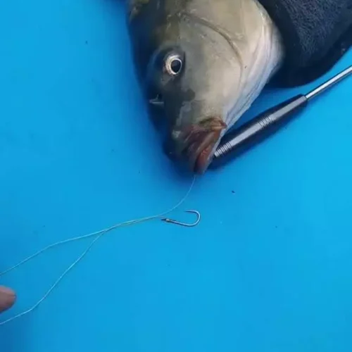 883493174d9ee17ae9d5856133348ff1.webp 17 5cm Fishing Hook Quick Removal Device Security Extractor Stainless Steel Hook Detacher Removal Fishhook Disgorger