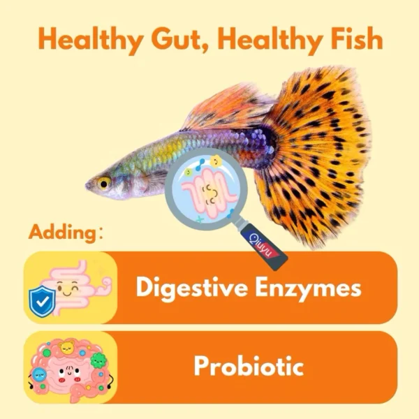 my-11134207-7rasd-m6f1jwlqycrqb1.webp Fish Food Nutrient Rich Guppy Feed Stronger Growth