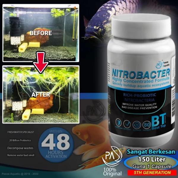 Nitrobacter Gen5