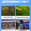 Ultra Strong Aquarium Water Purifier Tablets Fast Acting Removes Algae Toxins Safe for Fish Coral