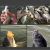 12pcs Fishing Flipping Hook Automatic Anti Running Fish Anti Drop Line Double Barb With Titanium Manganese Alloy Magic Handy