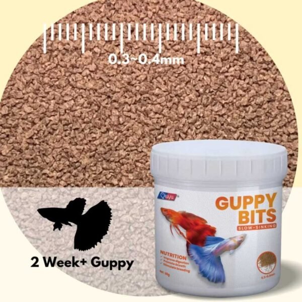 sg-11134207-7rd4m-m7favrxy5p0xab Fish Food Nutrient Rich Guppy Feed Stronger Growth